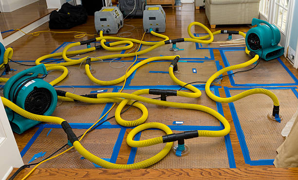 Professional Flood Damage Restoration technician working in Kew Gardens, NY